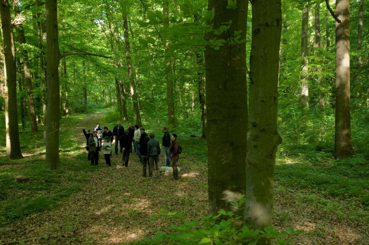 Apartmán Gutshaus Von Bismarck An der Schmucke Exteriér fotografie