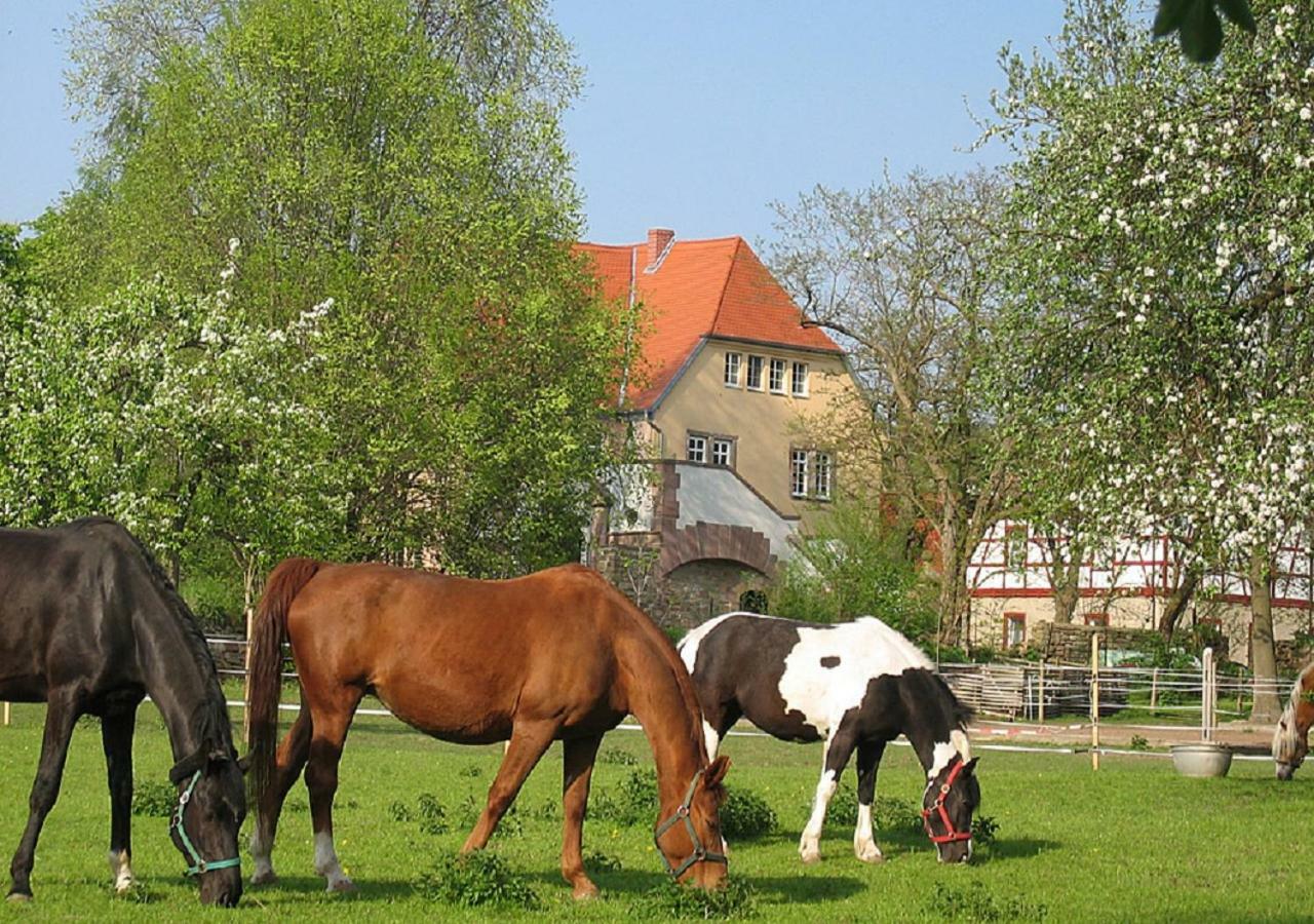 Apartmán Gutshaus Von Bismarck An der Schmucke Exteriér fotografie